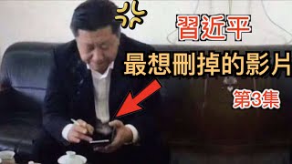 習近平最想刪掉的畫面 第3集 史上被惡搞最慘的中國領導人 網路「辱包文化」全網最詳細梳理和普法分析。 [upl. by Adirehs]