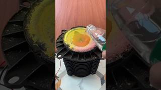 🔊🐯 Boom💥 Boom💥  Water 💦 Speaker Testing  speaker speakertest youtubeshorts shorts [upl. by Delphinia286]