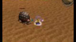 Metin2 PL  FuBu Vs Giant Desert Tortoise [upl. by Akinorev]