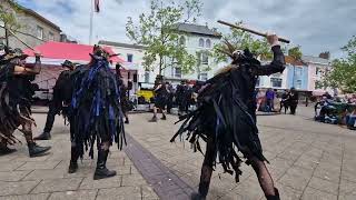 Beltane Border Morris dancing Cross Tree at Teignmouth Folk Festival on Sat 22 June 2024 [upl. by Edalb]