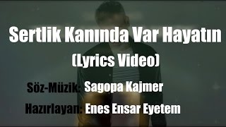 Sagopa Kajmer  Sertlik Kanında Var Hayatın quotSözleri ilequot Lyrics Video [upl. by Mal]