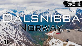 Insane Views You CANT MISS Dalsnibba Traveling In Norway [upl. by Mcdougall]