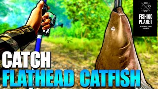 Neherrin River Catfish Hotspot Guide🎣  Fishing Planet [upl. by Basir861]