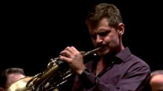 Mozart  horn concerto no 2  Alon Reuven [upl. by Ranna]