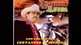 HALCON DE LA SIERRA Y NUEVOS CERVANTES DE SINALOA DISCO COMPLETO [upl. by Ynaffet]