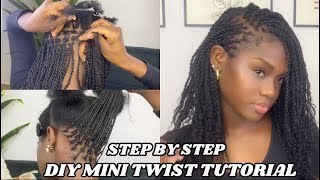 Mini Twist Tutorial With Extenstions  STEP BY STEP INSTALLATION FOR BEGINNERS Ft Ywigs Hair [upl. by Yasmeen]