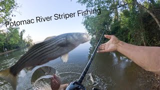 Potomac River Striper Fishing  Jighead amp Fluke For Striped Bass [upl. by Davis993]