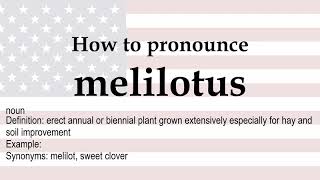 How to pronounce melilotus  meaning [upl. by Los]