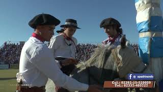 APADRINANDO N°281 16° Festival Nacional del Calden  NUEVA GALIA SL [upl. by Akital]