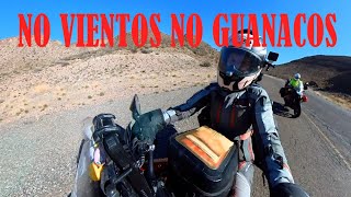 214   ESTA RUTA NO DEFRAUDA  ARGENTINA Vuelta Al Mundo En Moto [upl. by Edithe]