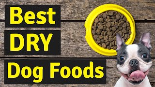 Best Dry Dog Food  5 Best Dry Dog Foods in 2022 Latest [upl. by Ela]