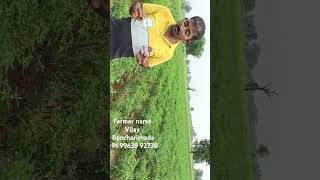 All fertilizer pesticide seed available oxygen BROFIRIYA agriculture [upl. by Clawson70]