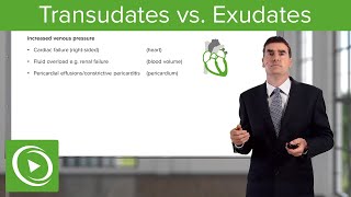 Transudates vs Exudates – Pleural Disease  Lecturio [upl. by Alikam]