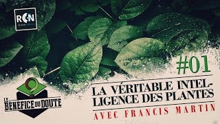 La véritable intelligence des plantes Le Bénéfice du doute 1 [upl. by Hanna332]