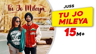 Tu Jo Mileya  Official Full Song   Tu Jo Mileya Song  New Song 2024  Fan Made Song [upl. by Ladew150]