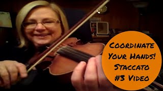 How to do Staccato 3  Coordinate Left amp Right Hands Violin Technique [upl. by Ahsote748]