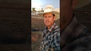 The best feed bunk for weaning calves part 2 cowboy ranch ranchlife homesteading cows [upl. by Nuahsad965]