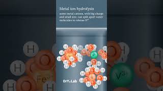 Metal ions with large positive charge and small size may acidify solution via hydrolysis [upl. by Solegna294]