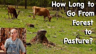 How Long Does it Take to Go from Forest to Pasture  FHC Q amp A [upl. by Londoner]