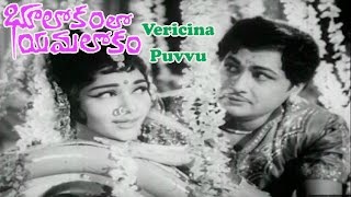 Bhulokamlo Yamalokam Telugu Movie Songs  Vericina Puvvu Song  Kantha Rao  Rajshree [upl. by Einre859]