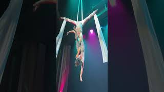 shorts Royal Caribbean  Duo Quintessence  Aerialist amp Acrobat Show [upl. by Anam579]