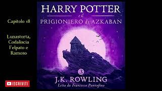 Harry Potter e il Prigioniero di Azkaban Audiolibro Italiano letto da Francesco Pannofino Capitolo18 [upl. by Neelia]