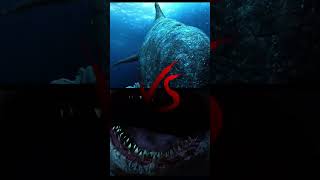 Megalodon vs Livyatan edits are rigged [upl. by Anitreb]