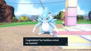 How to evolve Alolan Sandshrew into Alolan Sandslash in Pokémon Scarlet and Violet The Indigo Disk [upl. by Linsk329]