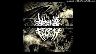 Abated Mass Of Flesh  Gravecharmer Single [upl. by Nnaarat]