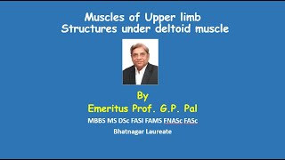 2 Structures under cover of Deltoid muscle [upl. by Leopold758]