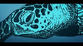 Animals Rotoscope Animation [upl. by Arammahs183]