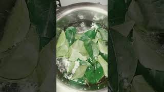 Curry leaves health benefits🤗👏👏in tamilshortvideoshortsfeed shortshealthbenefits ytshorts [upl. by Yeniar]