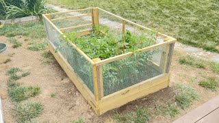 Build This Easy FencedIn Raised Garden Bed to Keep the Critters Out  With Gated Entry [upl. by Leile960]