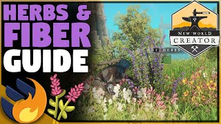 WHERE TO FIND HERBS amp FIBER GUIDE  New World [upl. by Ribal698]