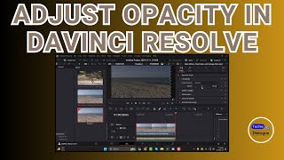 How to Adjust Opacity in Davinci Resolve [upl. by Jovita]