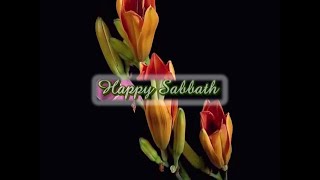 Happy Sabbath [upl. by Nrojb]