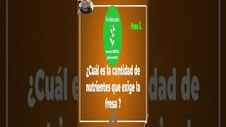 ¿Quieres aprender a calcular soluciones nutritivas para fresa bajo riego por goteo [upl. by Maggs748]