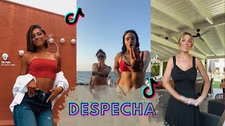 BABY NO ME LLAMES  TIKTOK TREND  DESPECHA ROSALIA [upl. by Aynekal]