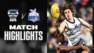 Geelong Cats v North Melbourne Highlights  Round 16 2022  AFL [upl. by Doggett405]