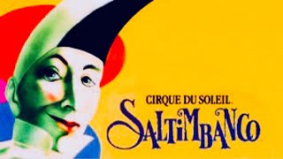 Saltimbanco  Shame on Cirque [upl. by Nerak1]