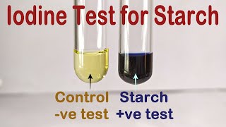 Iodine Test For Starch Practical Experiment [upl. by Phenica]