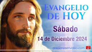 Evangelio de HOY Sábado 14 de diciembre 2024 Mt 171013 Elías ya ha venido y no lo reconocieron [upl. by Northway]