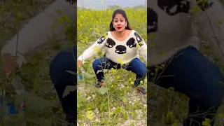 New comedy video 😂 is ladki ki harkat comedy sarson ke jamalgota 2025 funniestvideo reelscomedy [upl. by Turmel926]