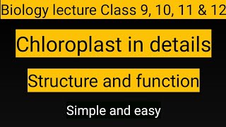 Chloroplast structure and function Chloroplast in details in Urdu Hindi by Bilal Hussain [upl. by Ande740]