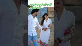 කඳුළු කතන්දරේ පෙම් කුමාරිකාවි shorts 💖❤️❣️💘😍 Prince Udaya priyantha song [upl. by Ilrak]