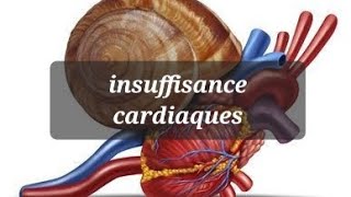 PHYSIOPATHOLOGIE DE LINSUFFISANCE CARDIAQUE [upl. by Airdna278]