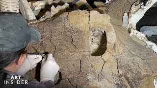 How A Paleontologist Cleans Dinosaur Fossils  Art Insider [upl. by Naoj]