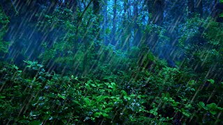 Rainforest Thunderstorm Sounds for Sleep  10Hour Rain and Thunder Ambience [upl. by Kotto]