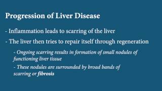 Liver Disease  Fibrosis [upl. by Conlon775]