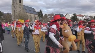 Rosenmontagszug in Naumburg 2017 von tubehorst1 [upl. by Elfreda]